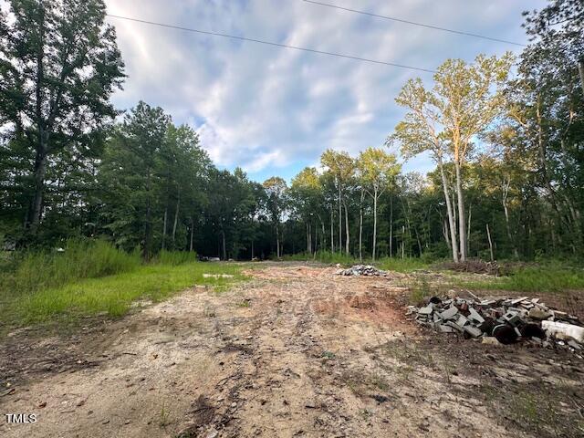 1101 Moss Road Zebulon, NC 27597 - Photo 22 of 22 a view of a park