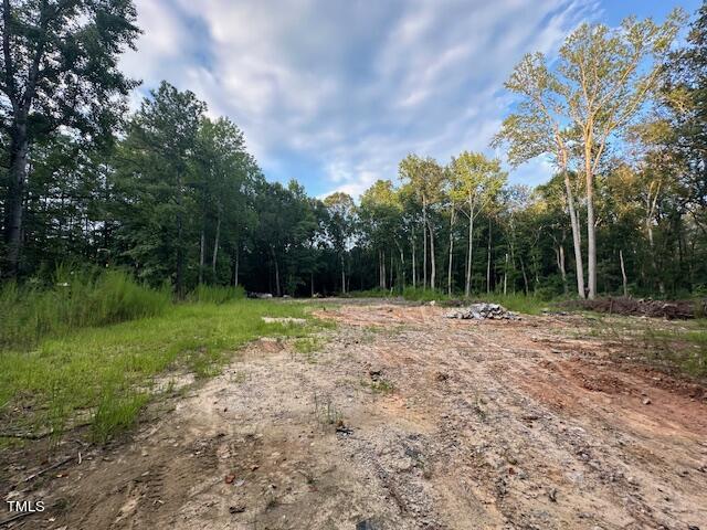 1101 Moss Road Zebulon, NC 27597 - Photo 7 of 22 a view of backyard with green space