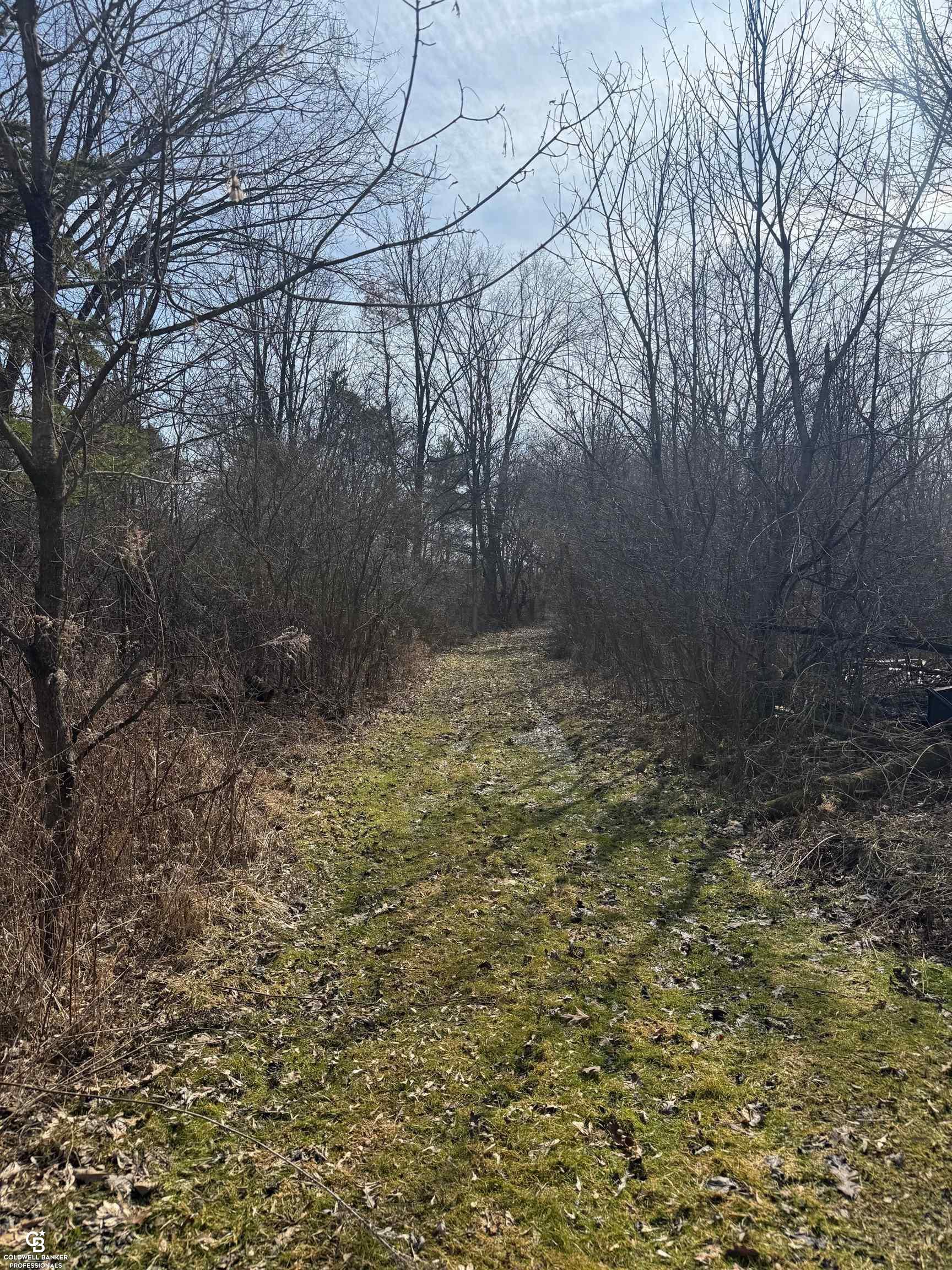 11105 Bryce Road Emmett, MI 48022 - Photo 21 of 44 50169414-97e076ec-9c42-4b90-afed-a2ce72f0ae58.JPG