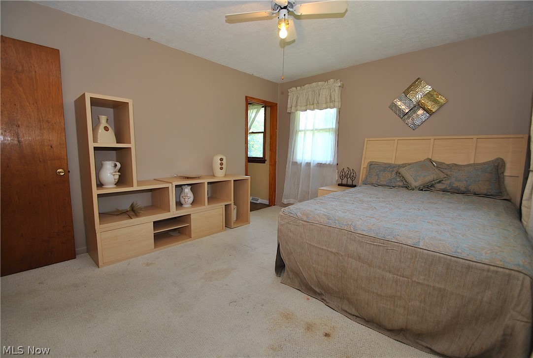 10983 Prouty Road Painesville, OH 44077 - Photo 18 of 31 Gallery Image 18