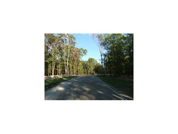 Lot 1 Rachel Ridge Cape Fair, MO 65624 - Photo 1 of 1 Primary Photo