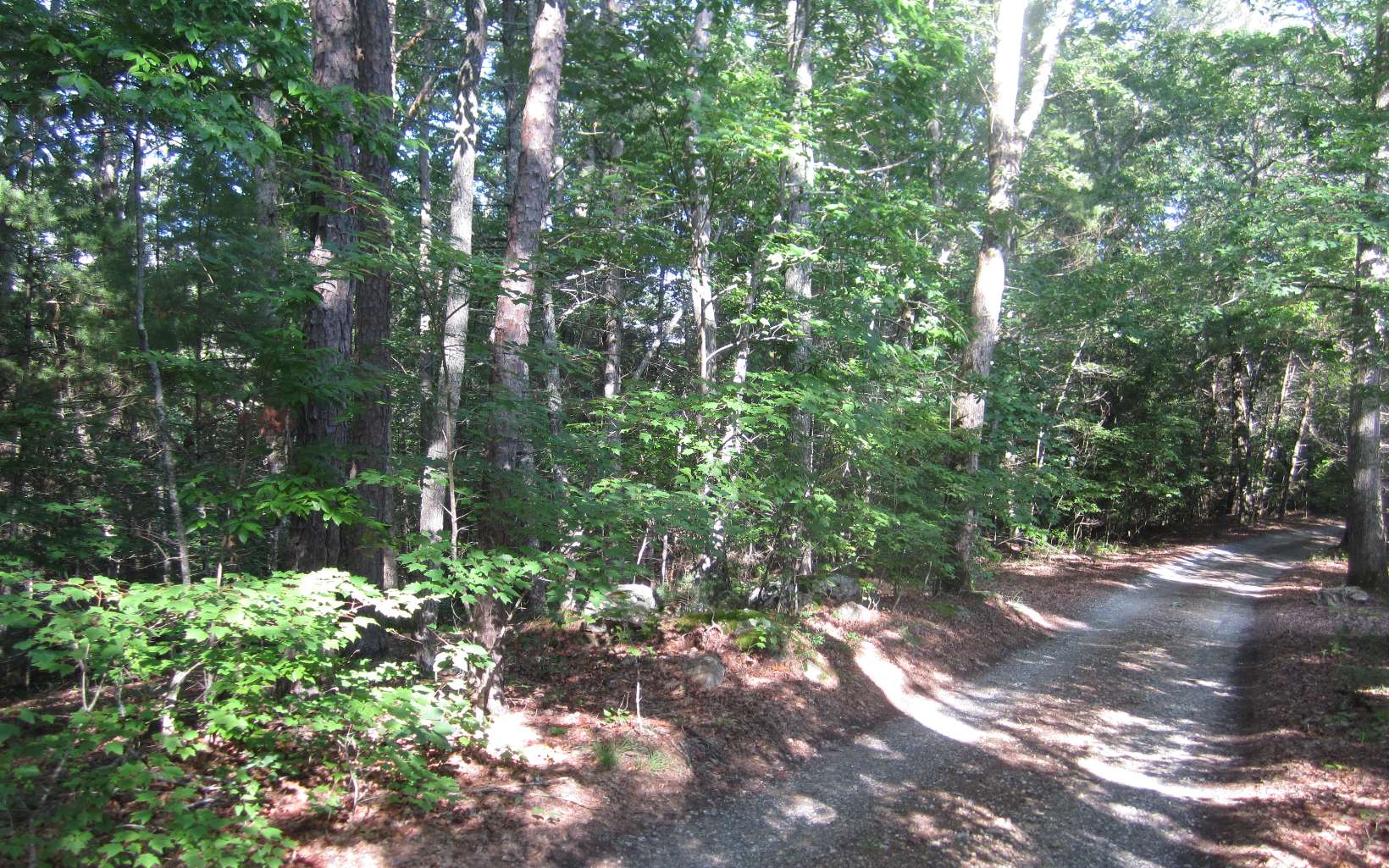 2.13 Dowd Road Morganton, GA 30560 - Photo 1 of 1 Main View