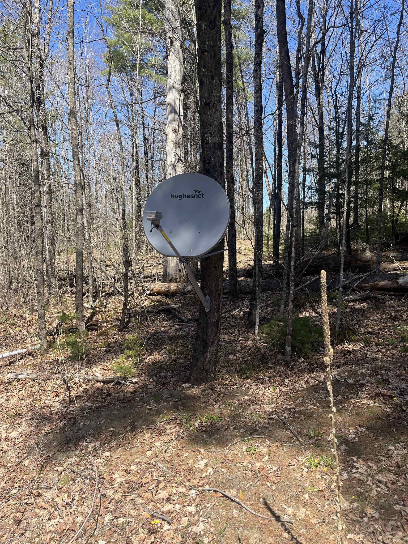 1295 River Road Troy, VT 05859 - Photo 21 of 28