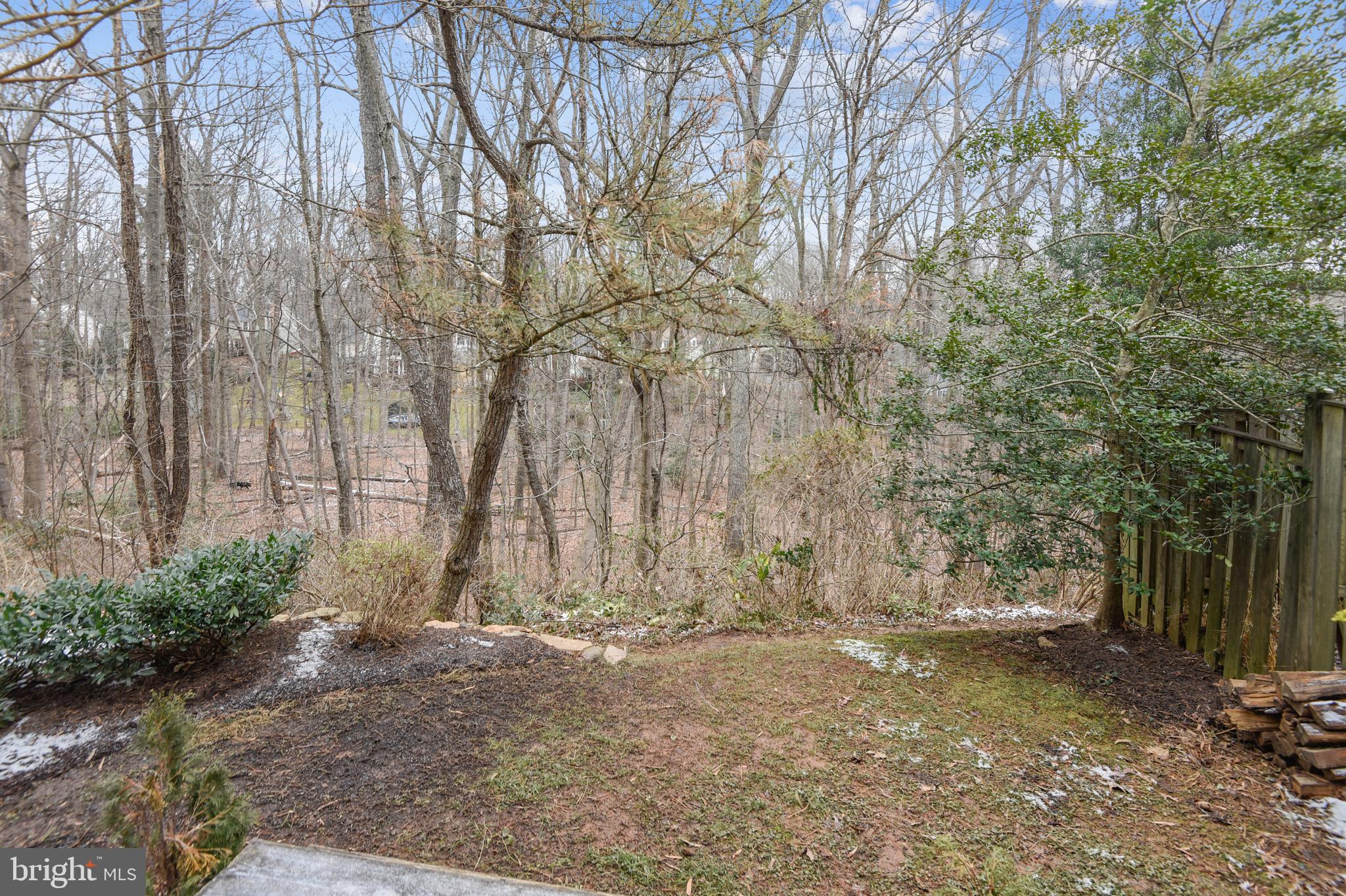 11942 Sentinel Point Court Reston, VA 20191 - Photo 32 of 42 View of Private Wooded Oasis