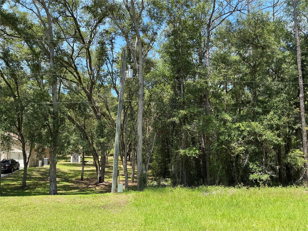 Southwest 102nd St Road Dunnellon, FL 34431 - Photo 5 of 8