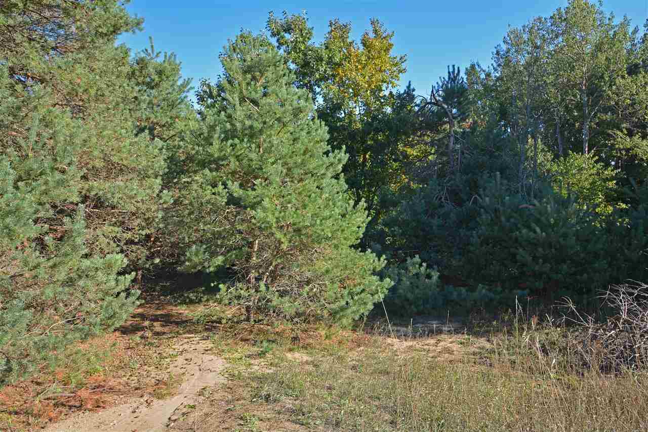 8655 Cedar Run Road Traverse City, MI 49685 - Photo 9 of 17 1809852-8.JPG