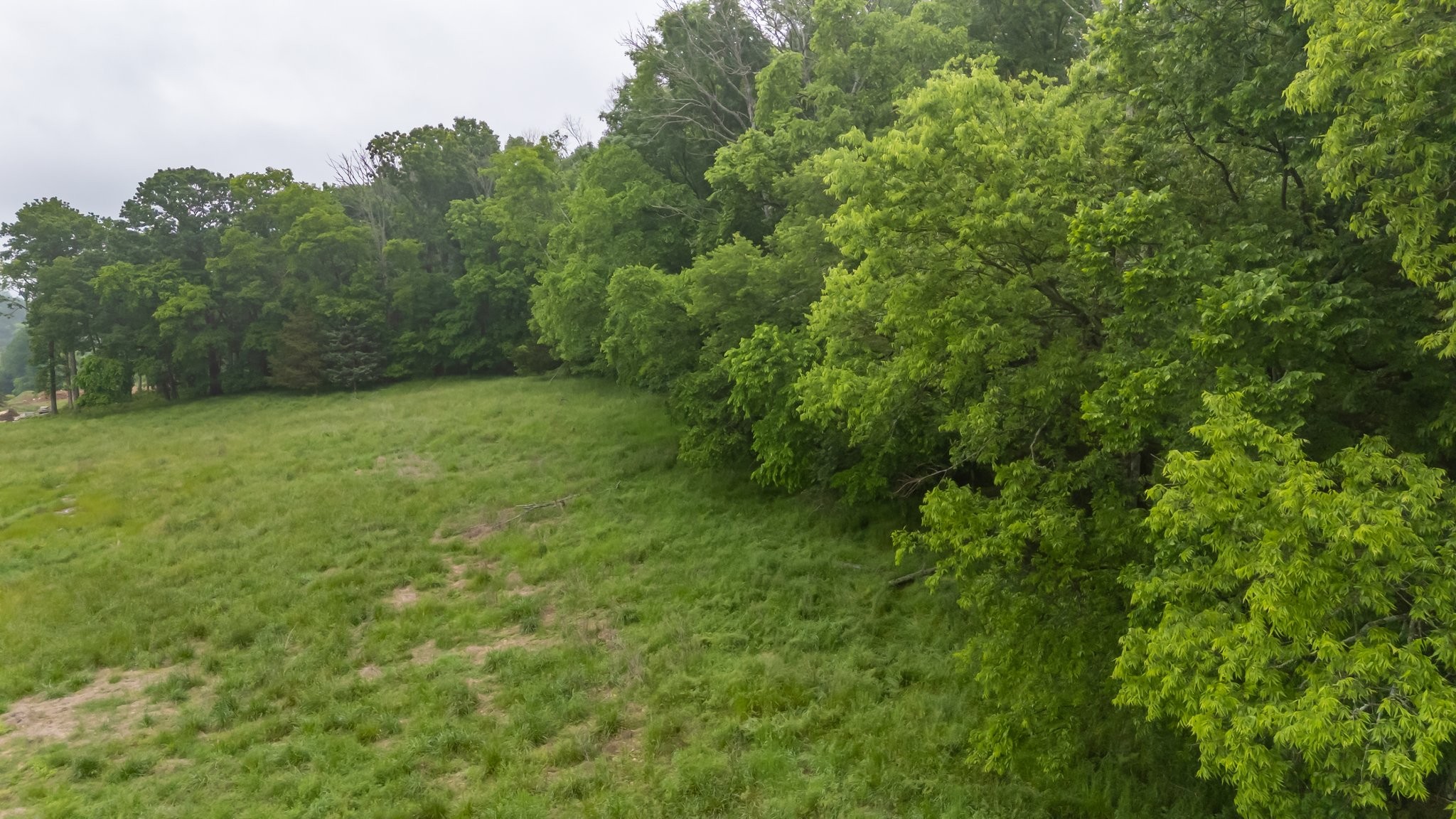 0 Giles Hill Road College Grove, TN 37046 - Photo 15 of 23