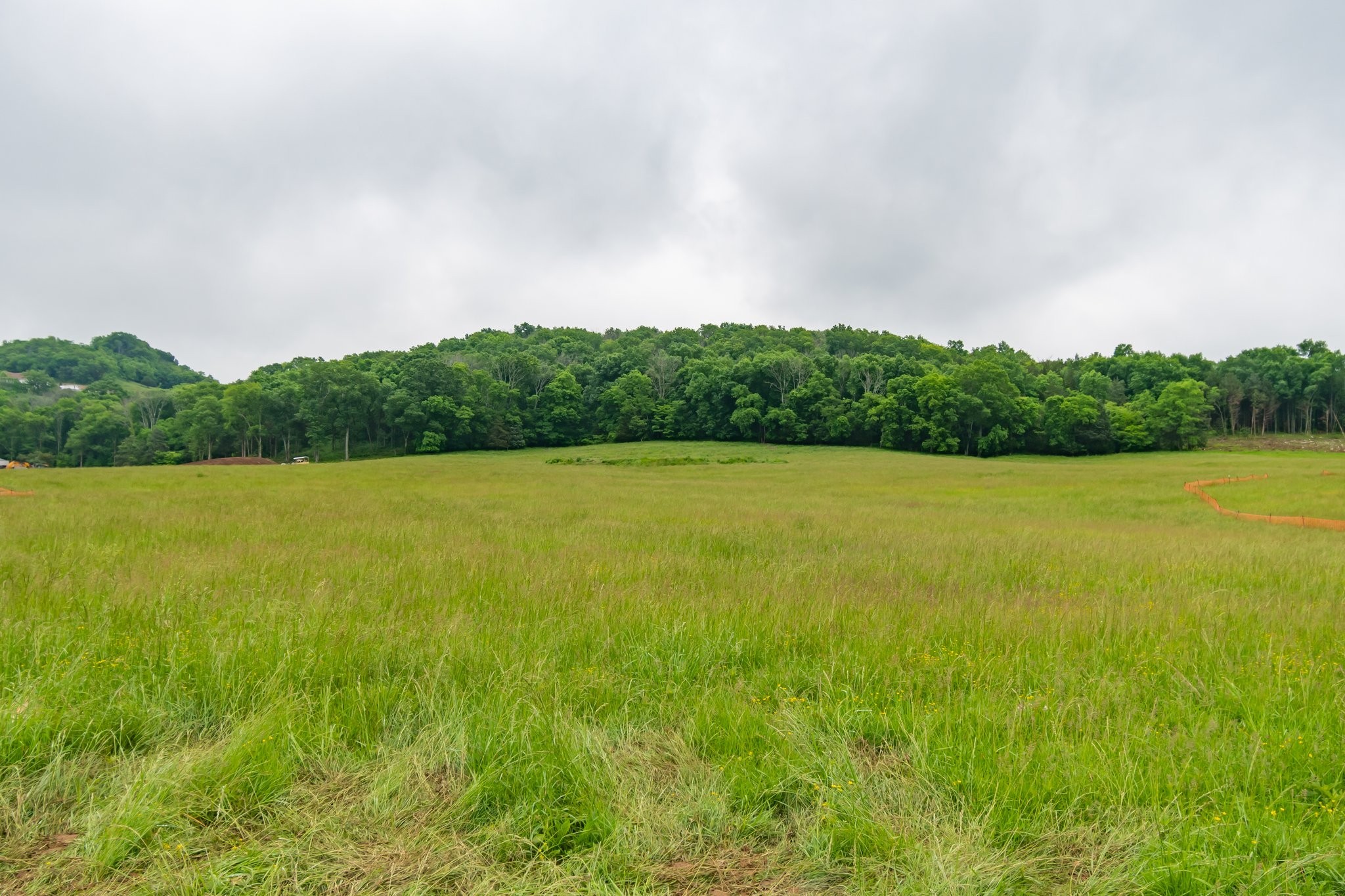 0 Giles Hill Road College Grove, TN 37046 - Photo 20 of 23