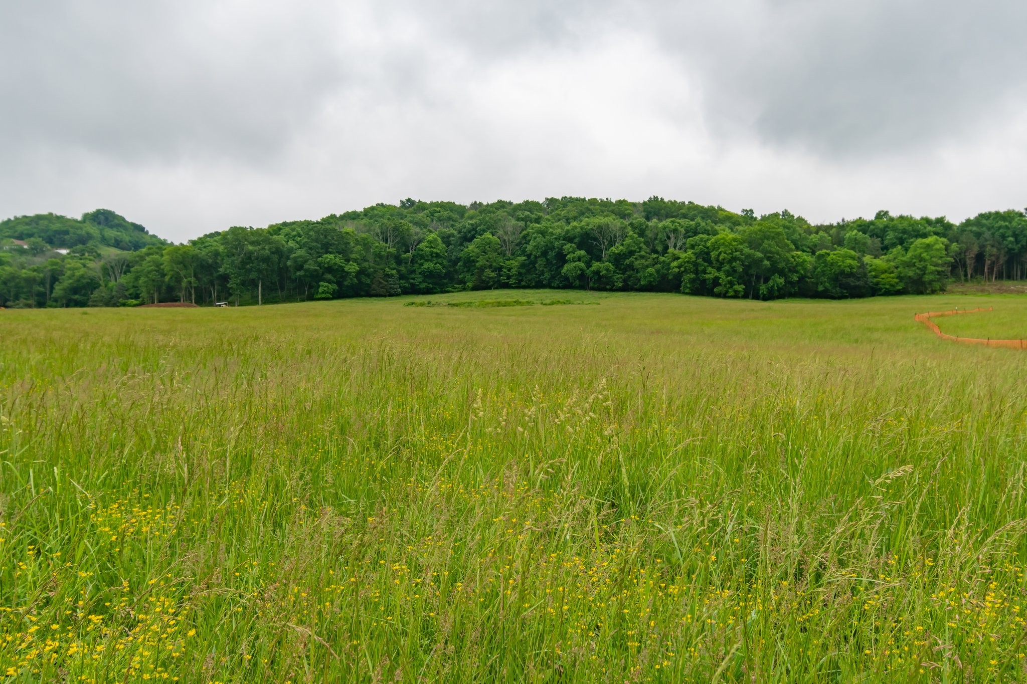 0 Giles Hill Road College Grove, TN 37046 - Photo 21 of 23