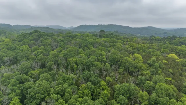 $865,860 | 0 Giles Hill Road, College Grove, TN 37046