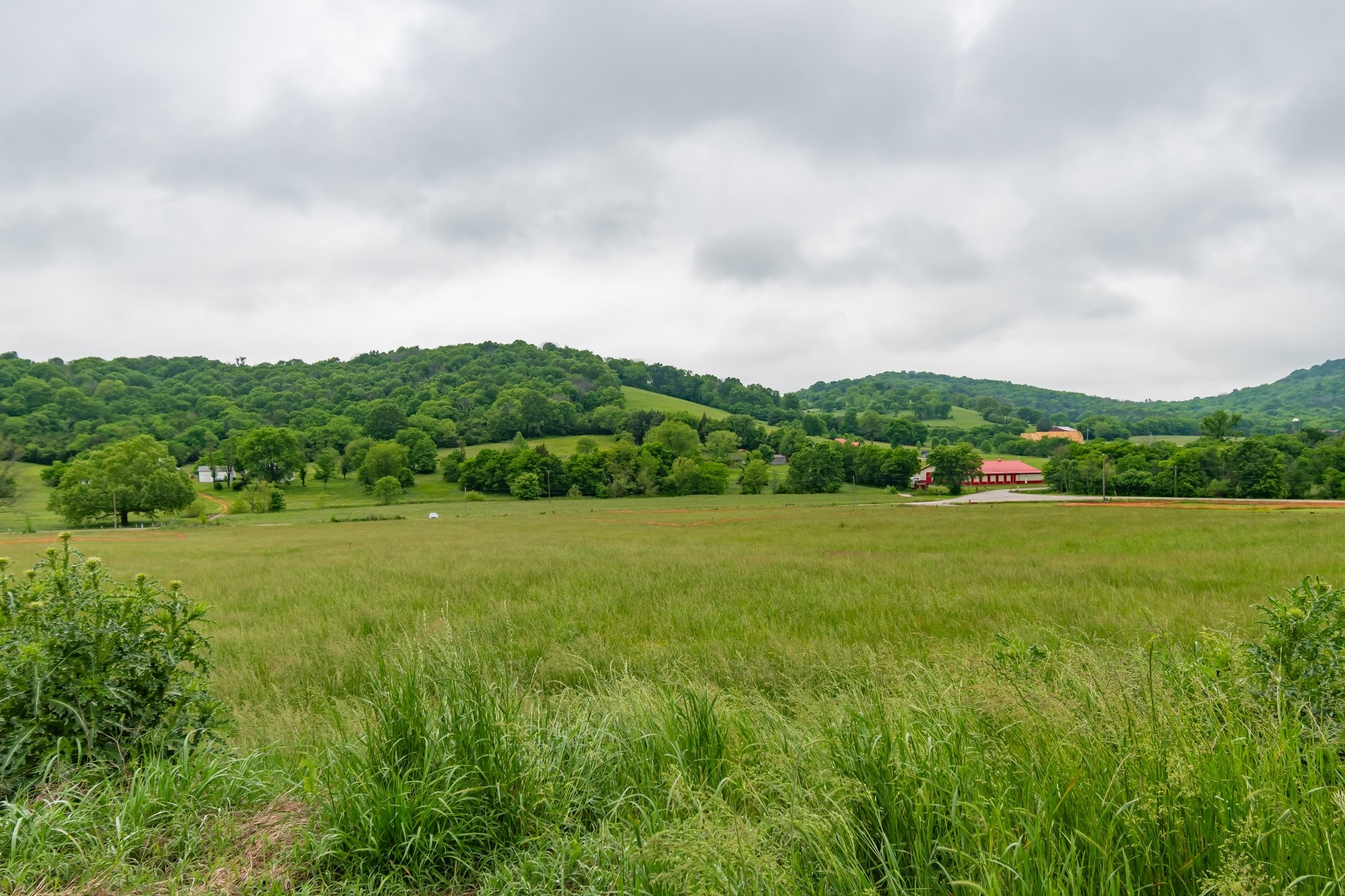 0 Giles Hill Road College Grove, TN 37046 - Photo 5 of 23