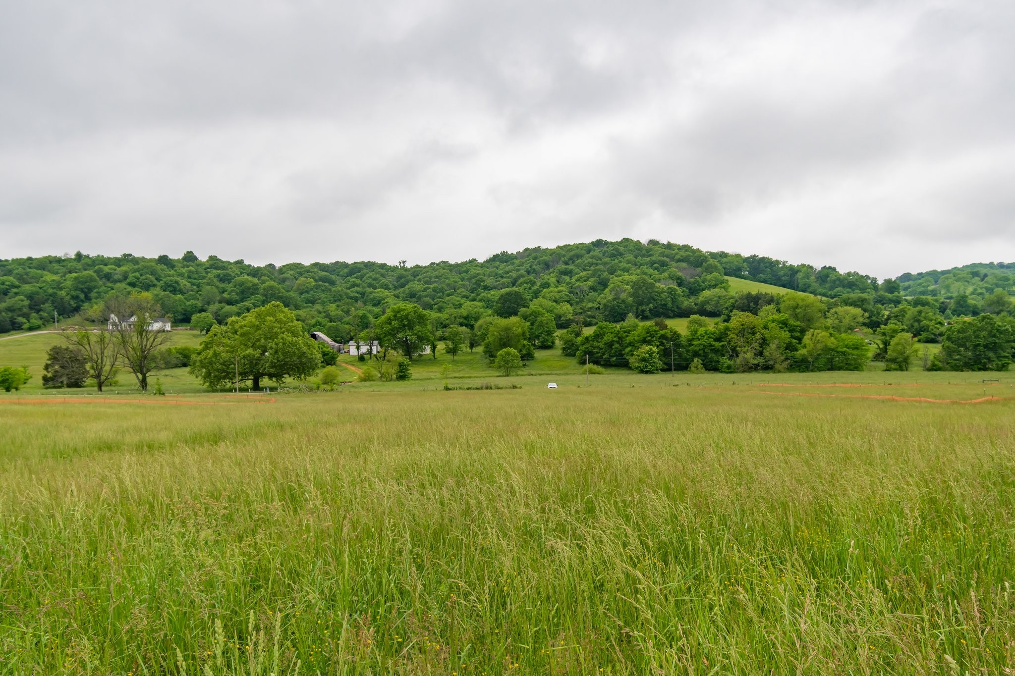 0 Giles Hill Road College Grove, TN 37046 - Photo 6 of 23