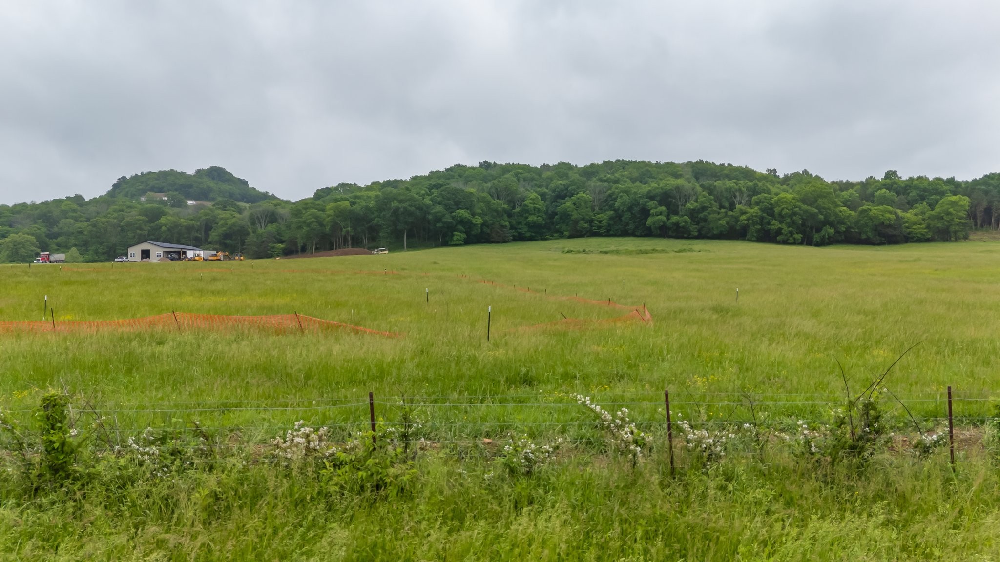 0 Giles Hill Road College Grove, TN 37046 - Photo 9 of 23