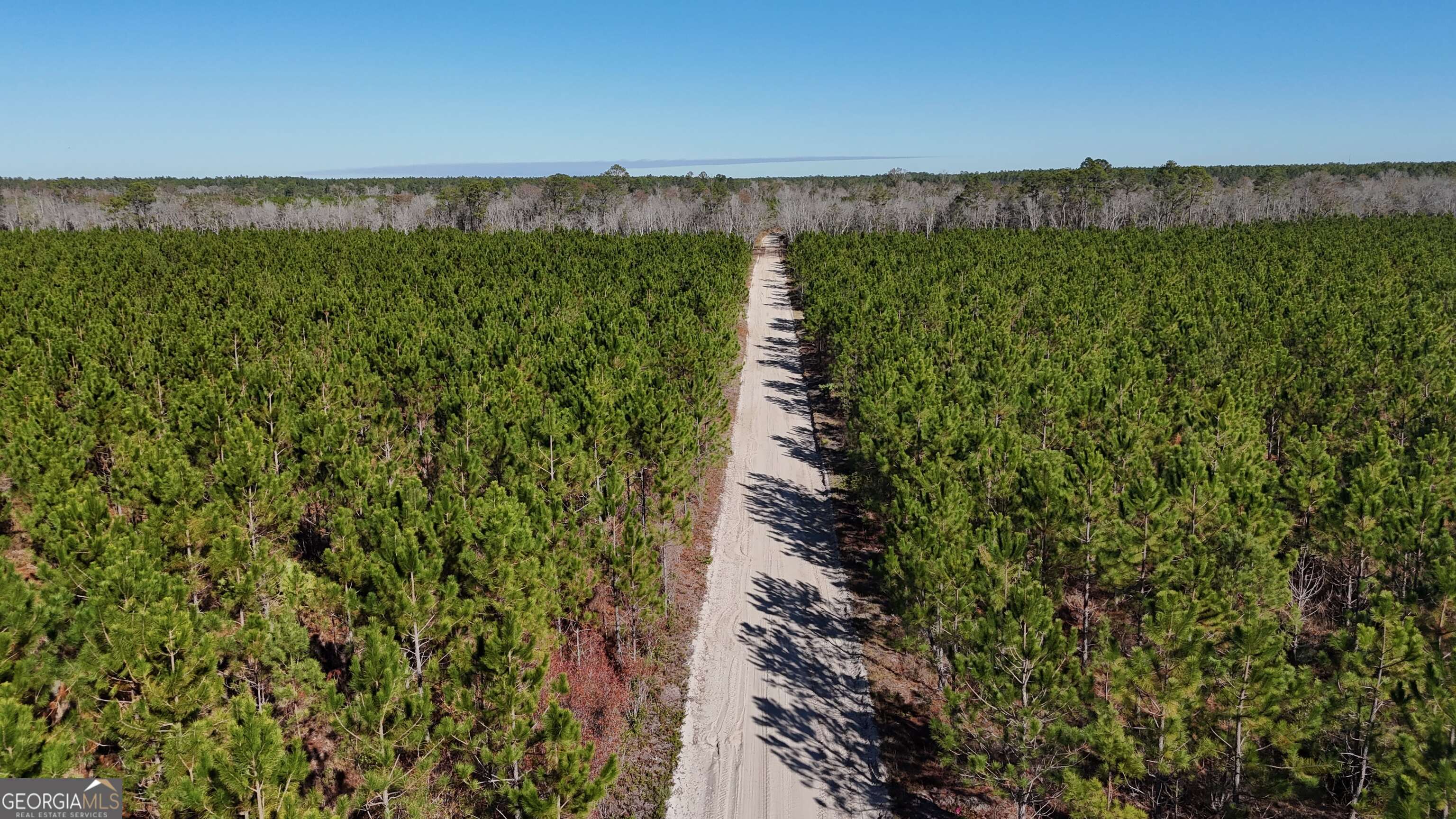 12-ac Owens Road Odum, GA 31555 - Photo 3 of 5 a view of a lake with a yard