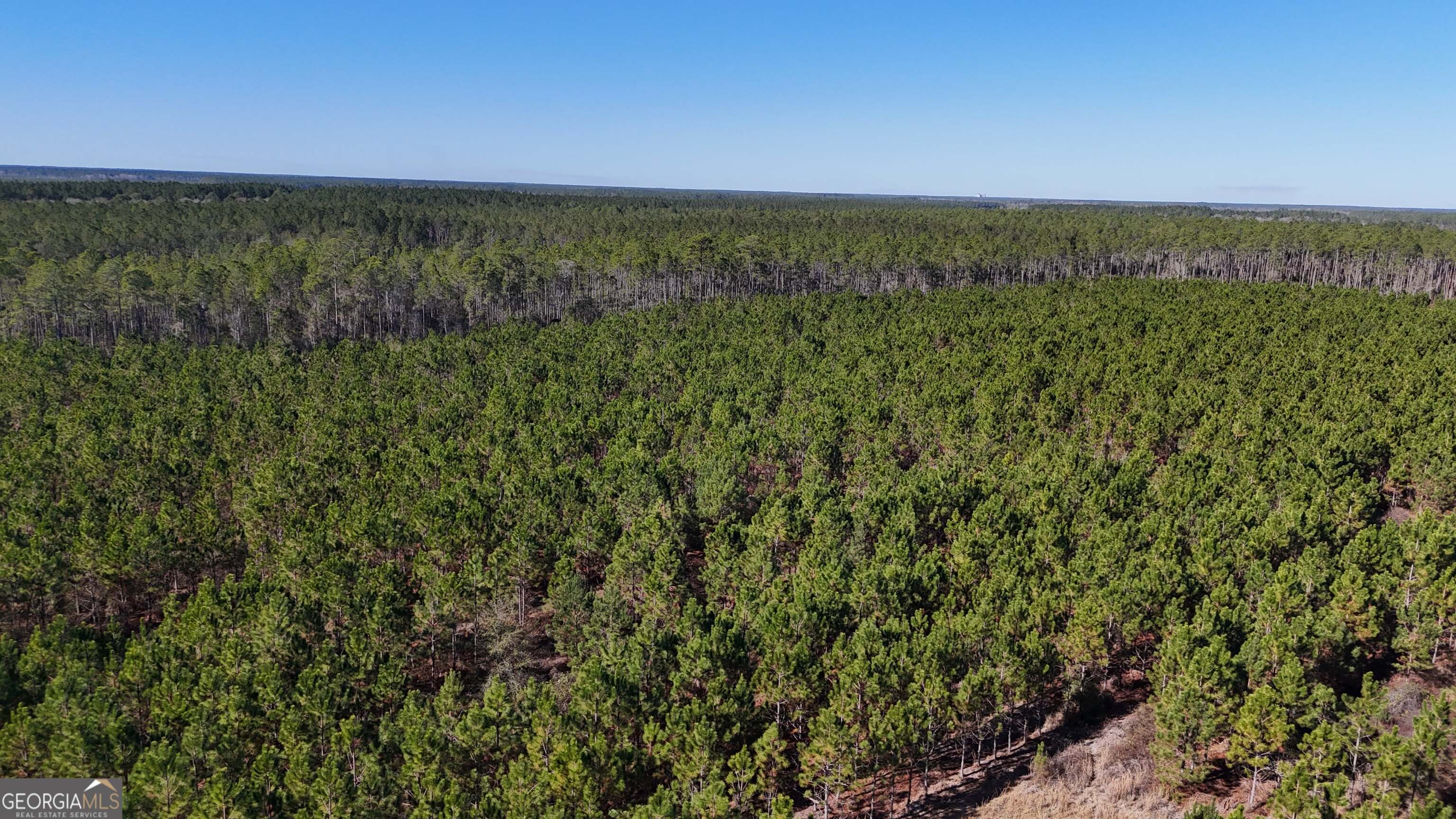 12-ac Owens Road Odum, GA 31555 - Photo 4 of 5 a view of a field with an ocean