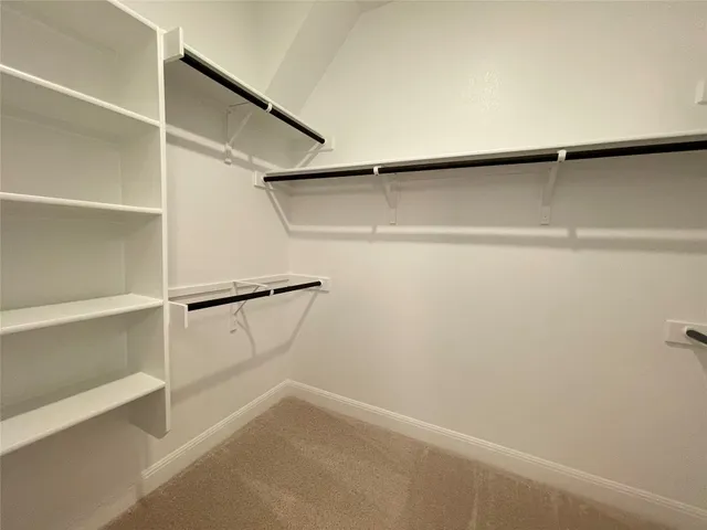 a bathroom with a shower a sink and a mirror