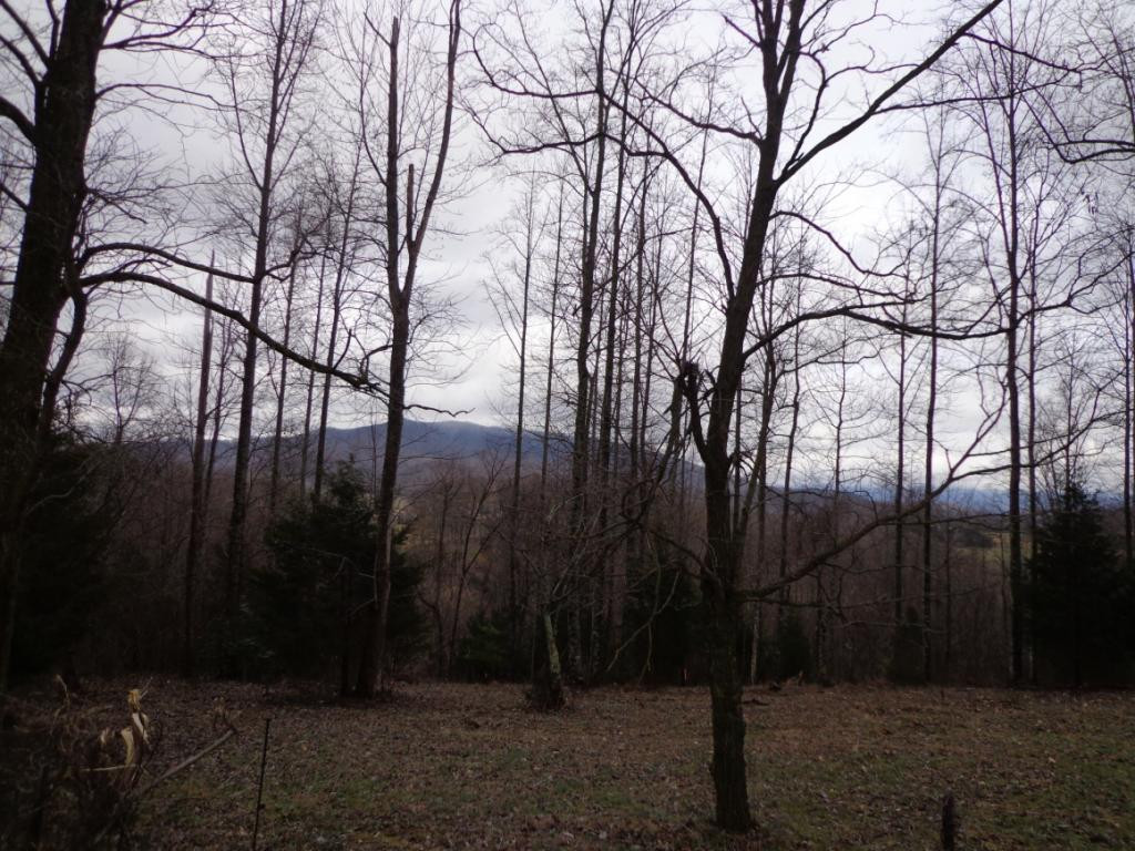 Lot 2 Slagle Road Watauga, TN 37694 - Photo 11 of 20 Photo 11