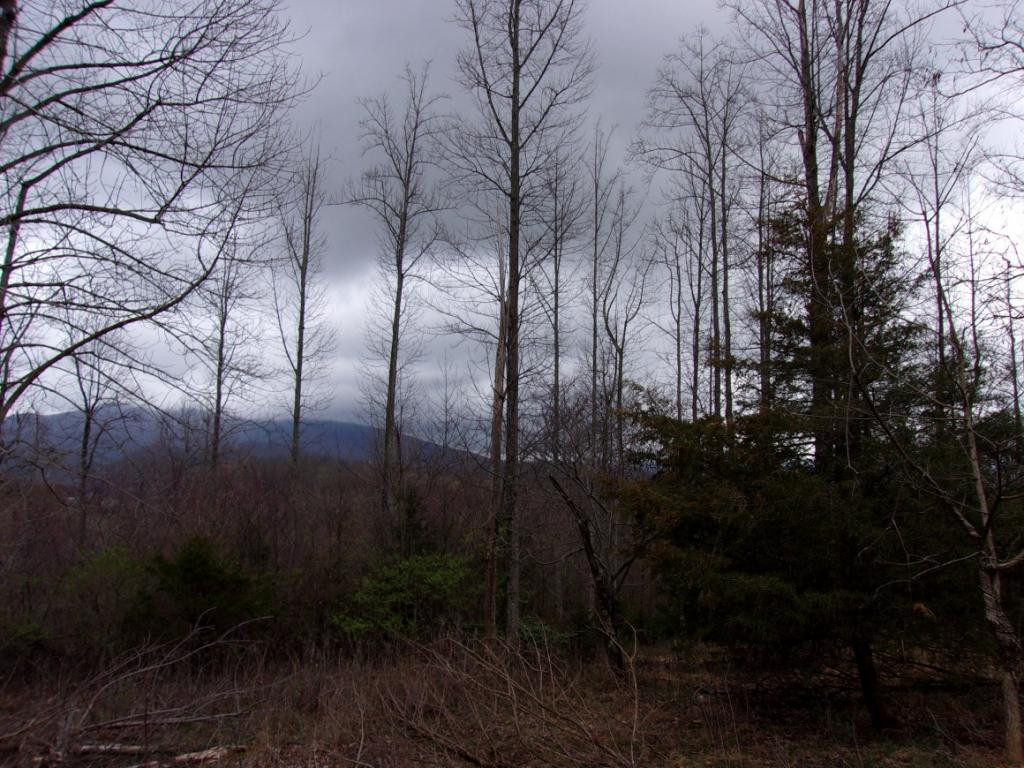 Lot 2 Slagle Road Watauga, TN 37694 - Photo 12 of 20 Photo 12
