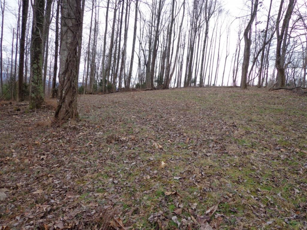 Lot 2 Slagle Road Watauga, TN 37694 - Photo 15 of 20 Photo 16