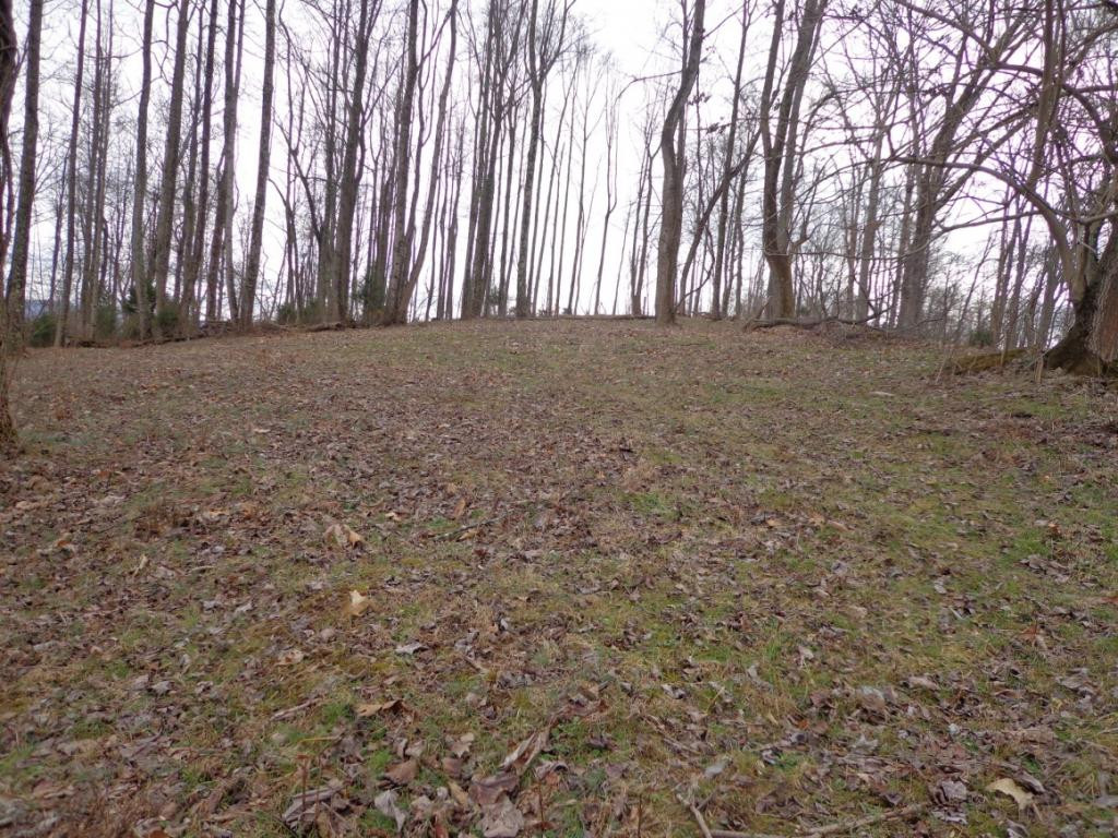 Lot 2 Slagle Road Watauga, TN 37694 - Photo 16 of 20 Photo 17