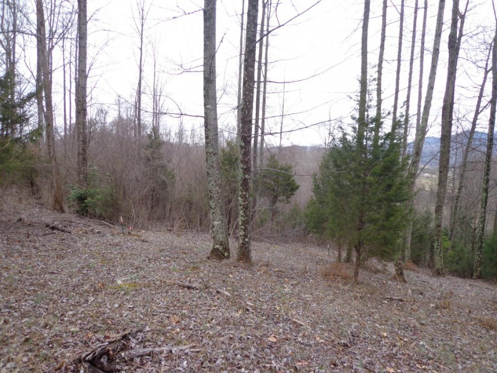 Lot 2 Slagle Road Watauga, TN 37694 - Photo 17 of 20 Photo 18