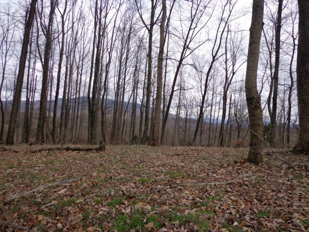 Lot 2 Slagle Road Watauga, TN 37694 - Photo 18 of 20 Photo 20