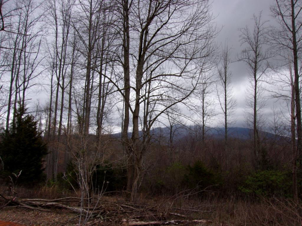 Lot 2 Slagle Road Watauga, TN 37694 - Photo 19 of 20 Photo 21