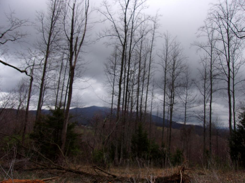 Lot 2 Slagle Road Watauga, TN 37694 - Photo 20 of 20 Photo 22