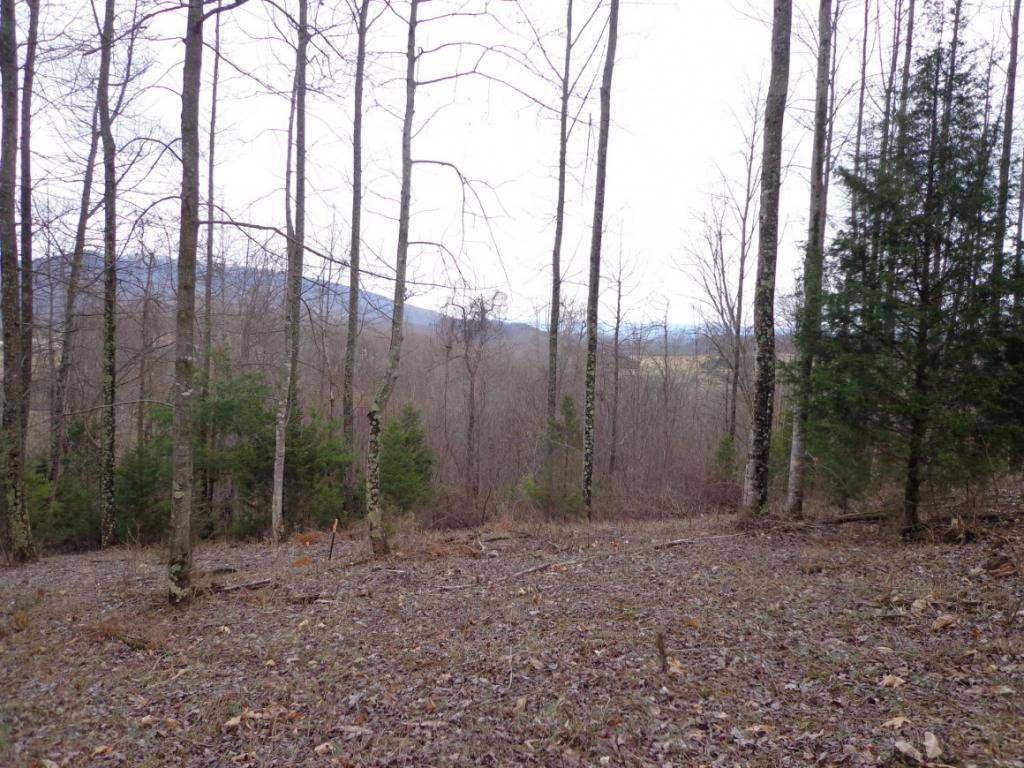 Lot 2 Slagle Road Watauga, TN 37694 - Photo 2 of 20 Photo 2