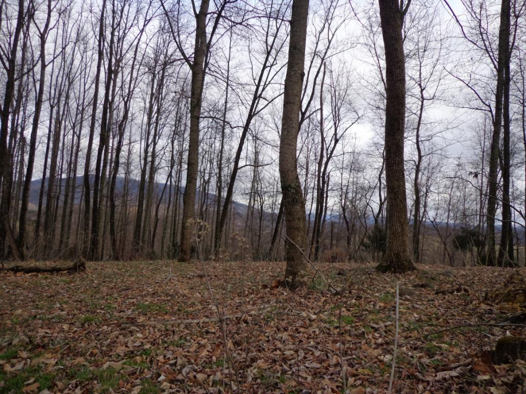 Lot 2 Slagle Road Watauga, TN 37694 - Photo 3 of 20 Photo 3