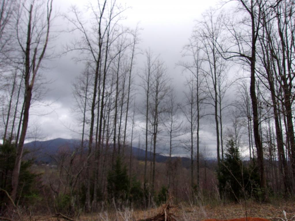 Lot 2 Slagle Road Watauga, TN 37694 - Photo 4 of 20 Photo 4
