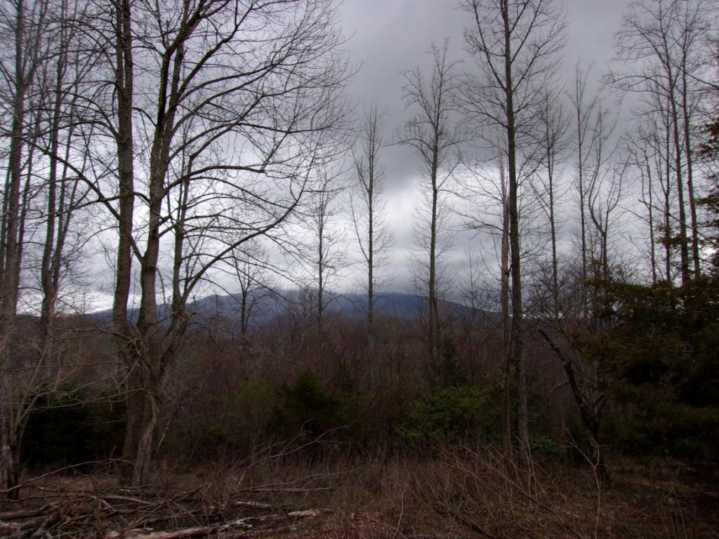 Lot 2 Slagle Road Watauga, TN 37694 - Photo 5 of 20 Photo 5