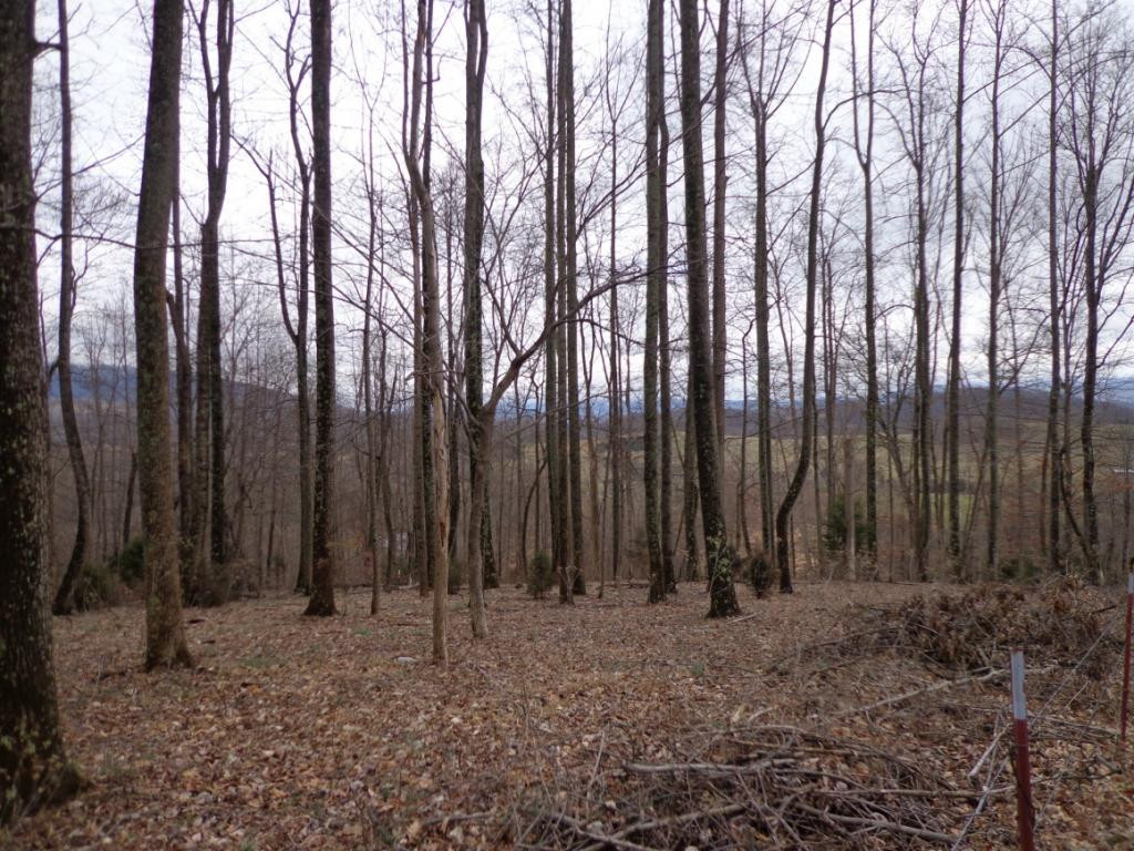 Lot 2 Slagle Road Watauga, TN 37694 - Photo 8 of 20 Photo 8