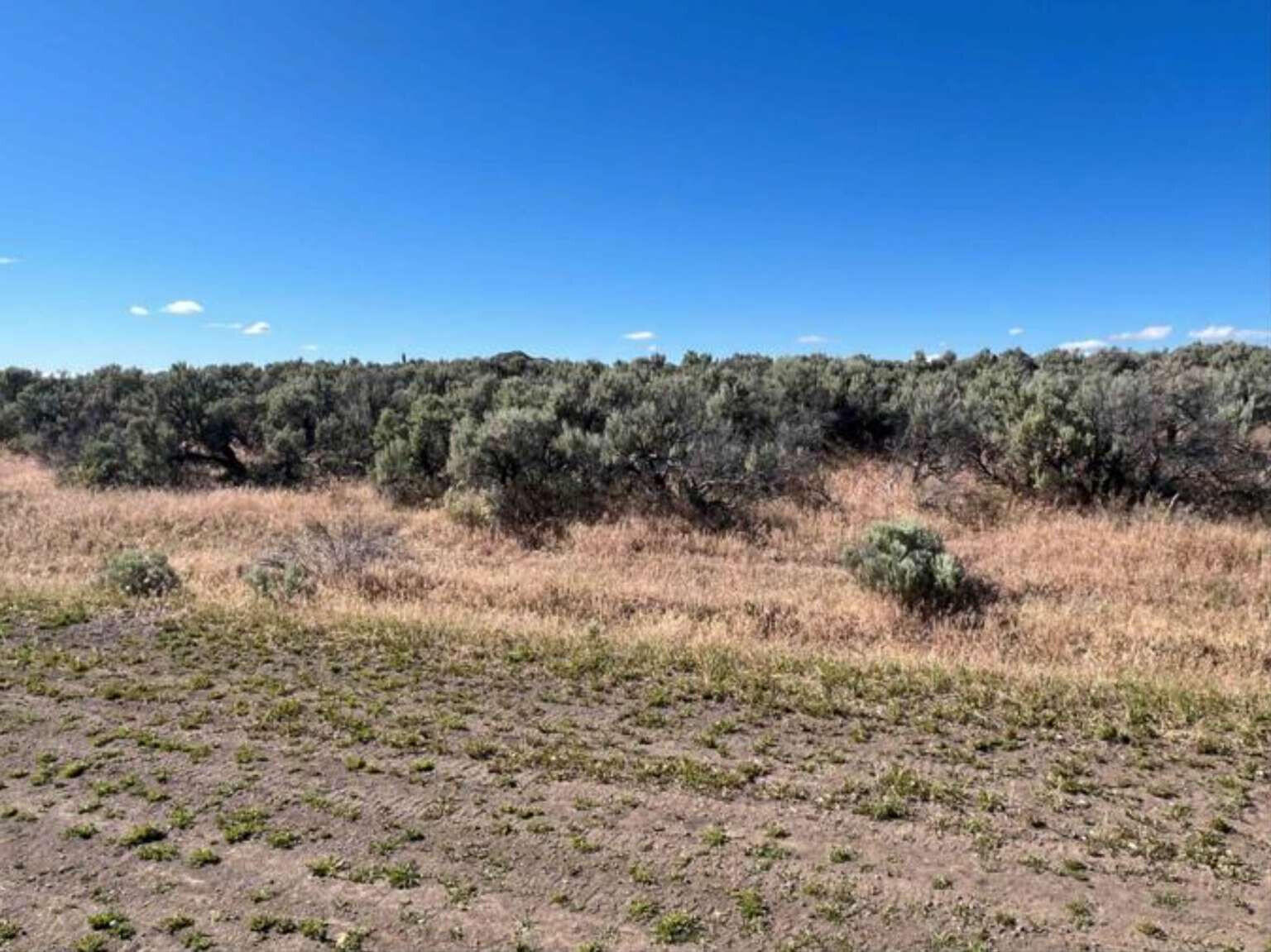 0 Cortez Road Alturas, CA 96101 - Photo 12 of 24 a view of a large body of water with a tree in the background
