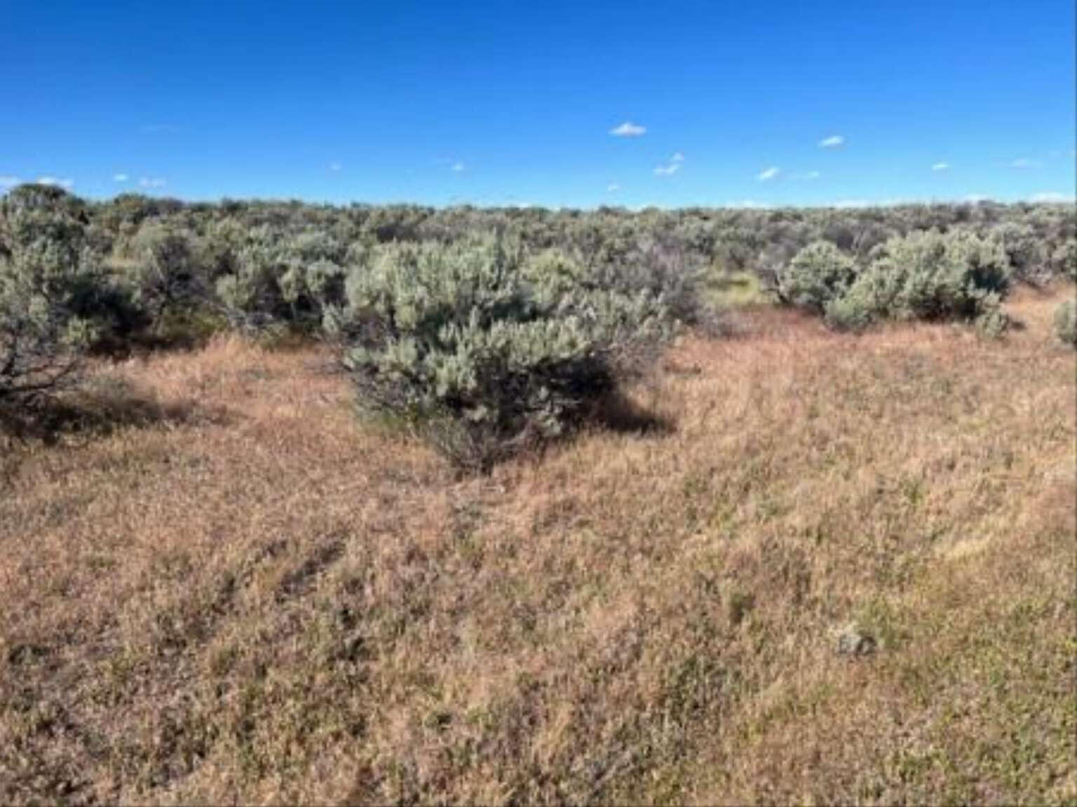 0 Cortez Road Alturas, CA 96101 - Photo 4 of 24 a view of a yard