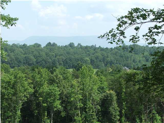 0 County Rd 754, Unit 16 Riceville, TN 37370 - Photo 5 of 7 Additional Photo