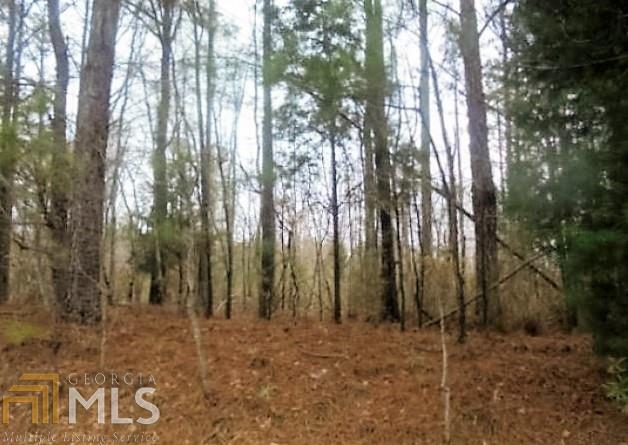 0 Tingle Road Jackson, GA 30233 - Photo 1 of 1