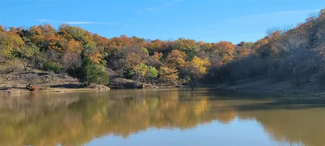 a view of a yard with trees