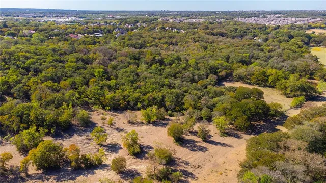 a view of a tree with a yard