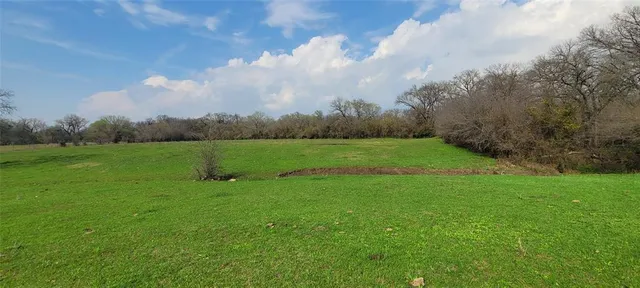 a view of a grassy field with trees in the background