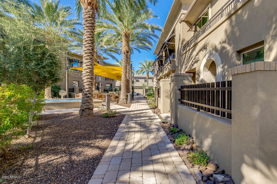 6565 East Thomas Road, Unit 1095 Scottsdale, AZ 85251 - Photo 2 of 64 01-Thomas