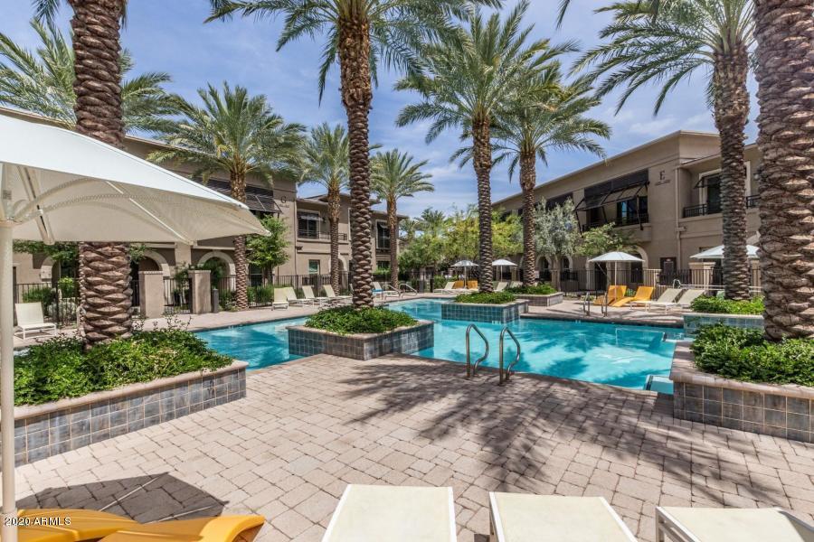6565 East Thomas Road, Unit 1095 Scottsdale, AZ 85251 - Photo 35 of 64 20180427221831683922000000-o