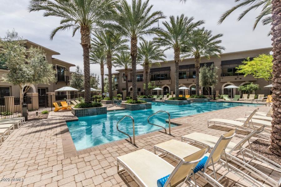 6565 East Thomas Road, Unit 1095 Scottsdale, AZ 85251 - Photo 38 of 64 20180427221836317578000000-o