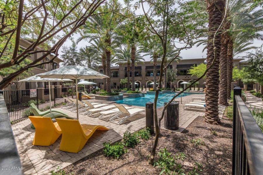 6565 East Thomas Road, Unit 1095 Scottsdale, AZ 85251 - Photo 39 of 64 20180427221839515944000000-o