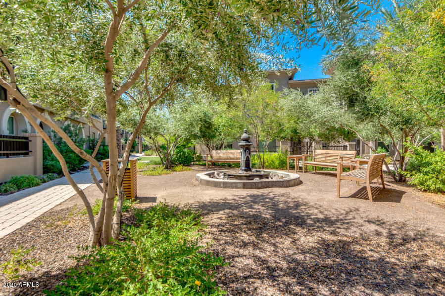 6565 East Thomas Road, Unit 1095 Scottsdale, AZ 85251 - Photo 44 of 64 20190904180745613244000000-o