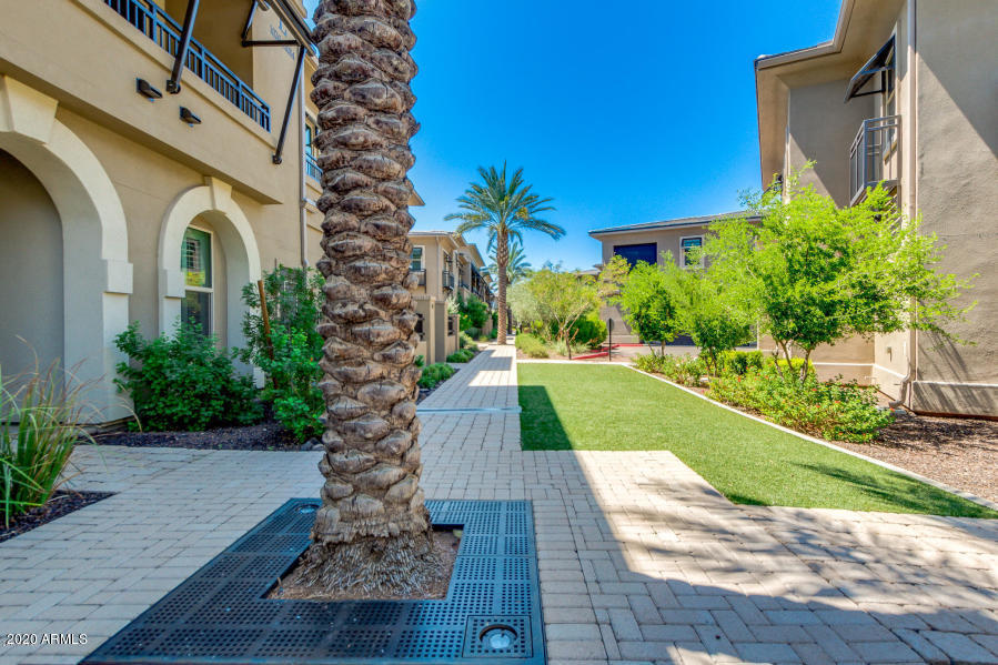 6565 East Thomas Road, Unit 1095 Scottsdale, AZ 85251 - Photo 45 of 64 20190904180749957359000000-o