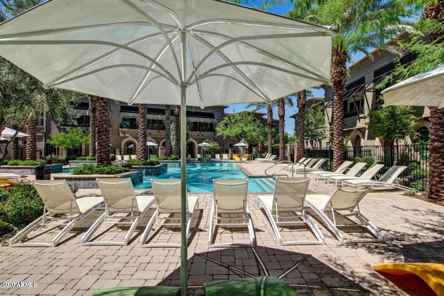 6565 East Thomas Road, Unit 1095 Scottsdale, AZ 85251 - Photo 57 of 64 Main Pool area