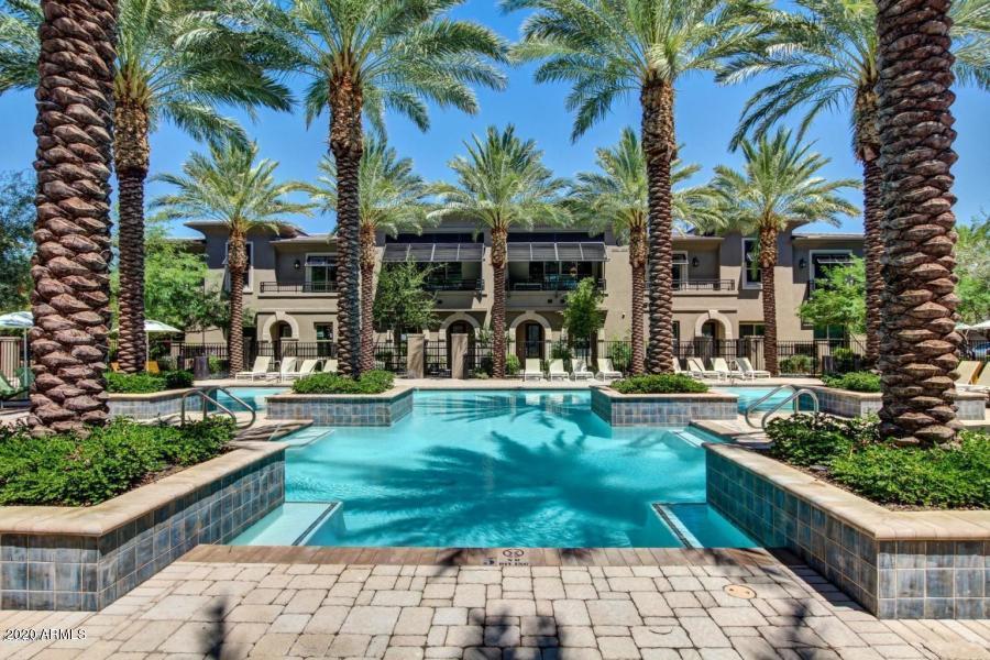 6565 East Thomas Road, Unit 1095 Scottsdale, AZ 85251 - Photo 58 of 64 Main Pool