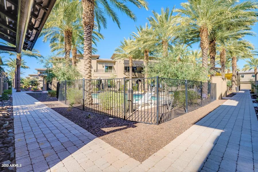 6565 East Thomas Road, Unit 1095 Scottsdale, AZ 85251 - Photo 62 of 64 Pool