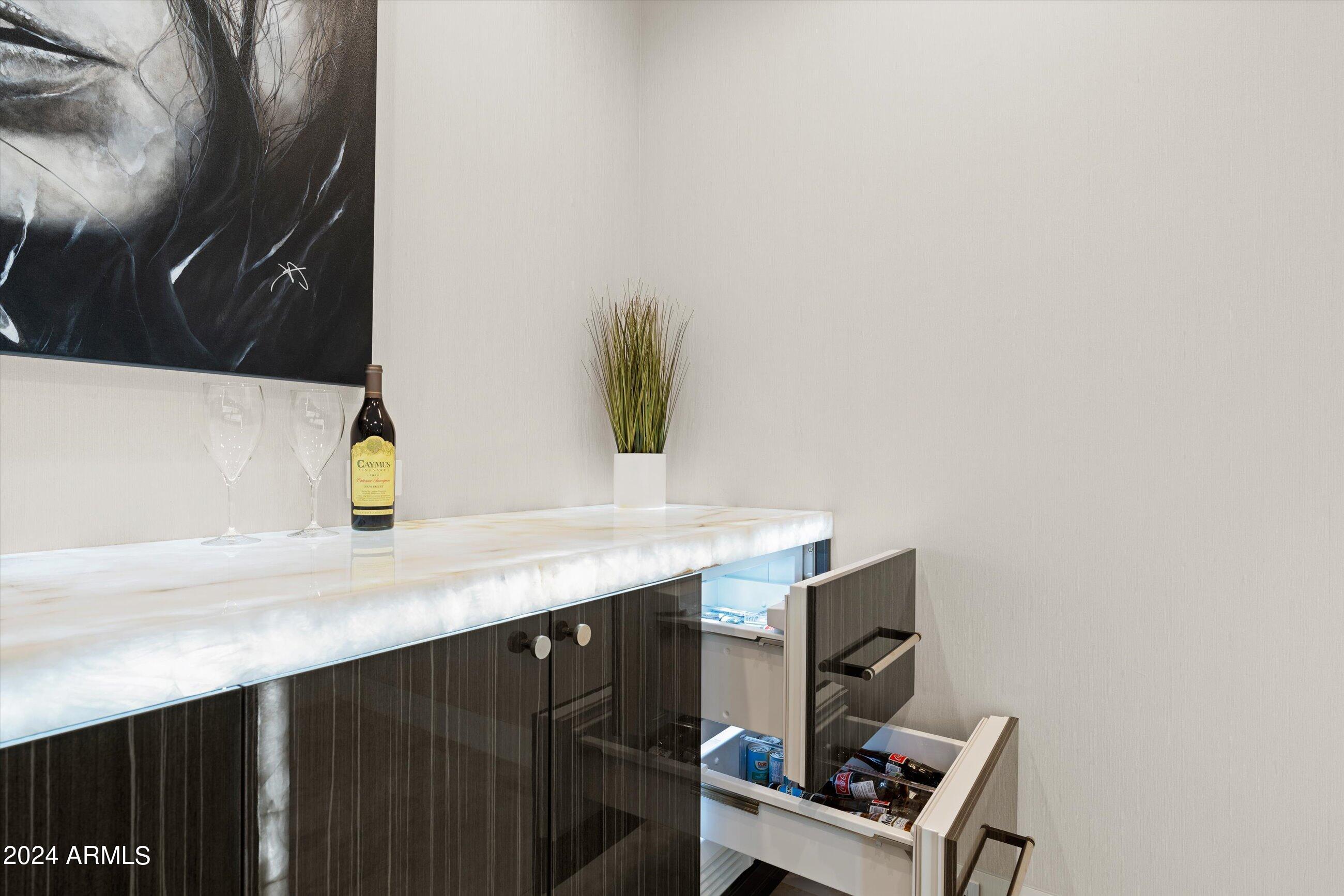 7175 East Camelback Road, Unit 608 Scottsdale, AZ 85251 - Photo 12 of 47 Sub-Zero beverage drawers
